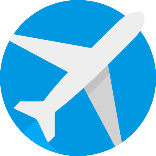 Google Flight Icon